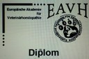 CIMG2754.JPG