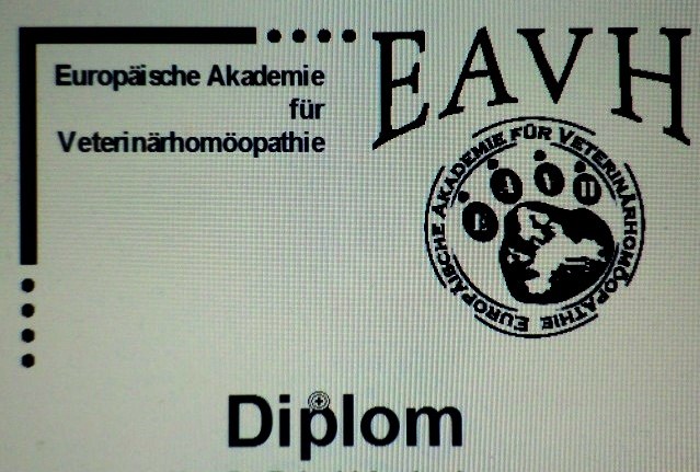 CIMG2754.JPG
