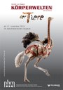 KW_TIERE_POSTER_286x405.jpg