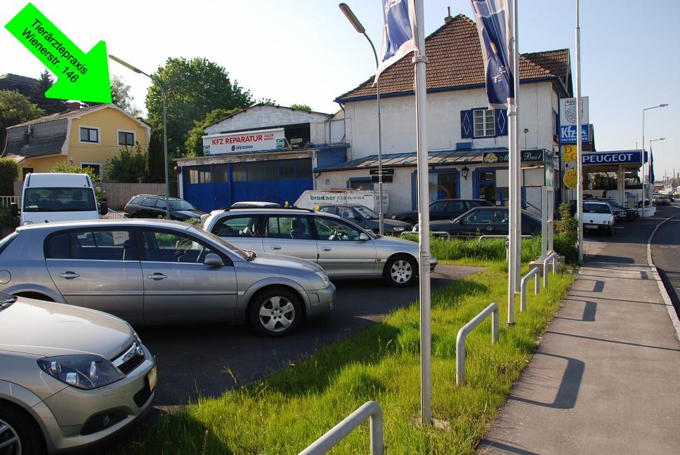 DSC_2019_1.jpg