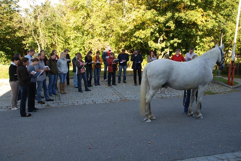 DSC_8454.JPG
