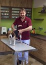 beagle.jpg