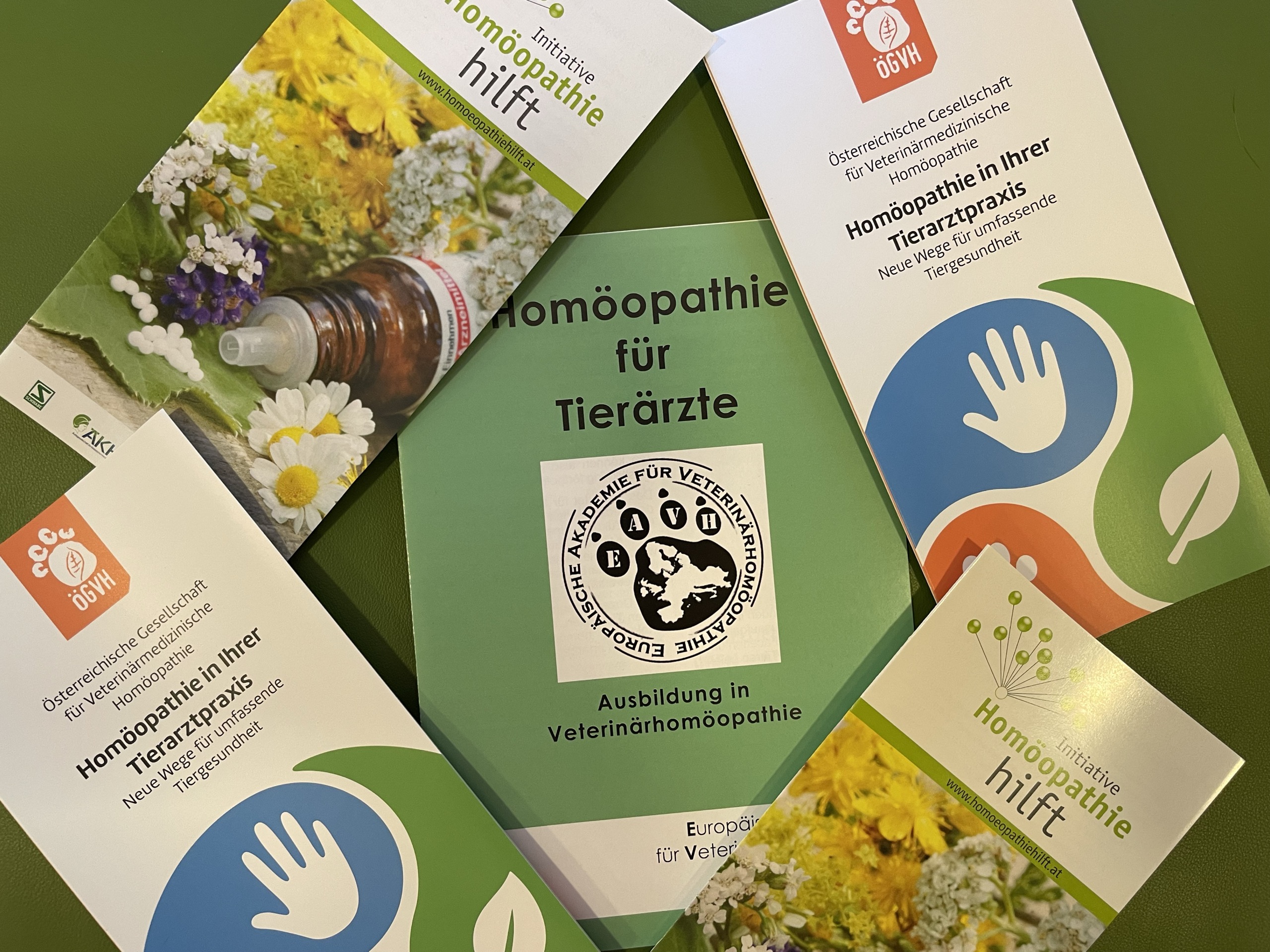 homöopathie.JPEG