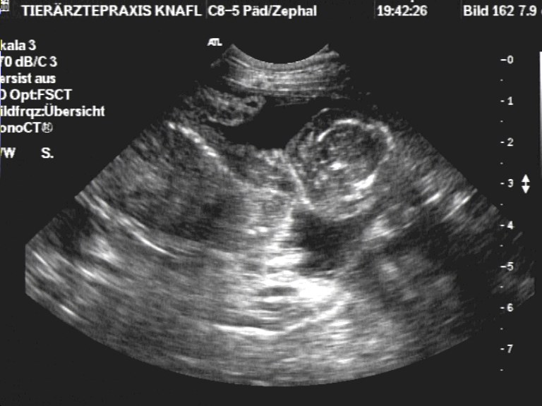 Image302.bmp