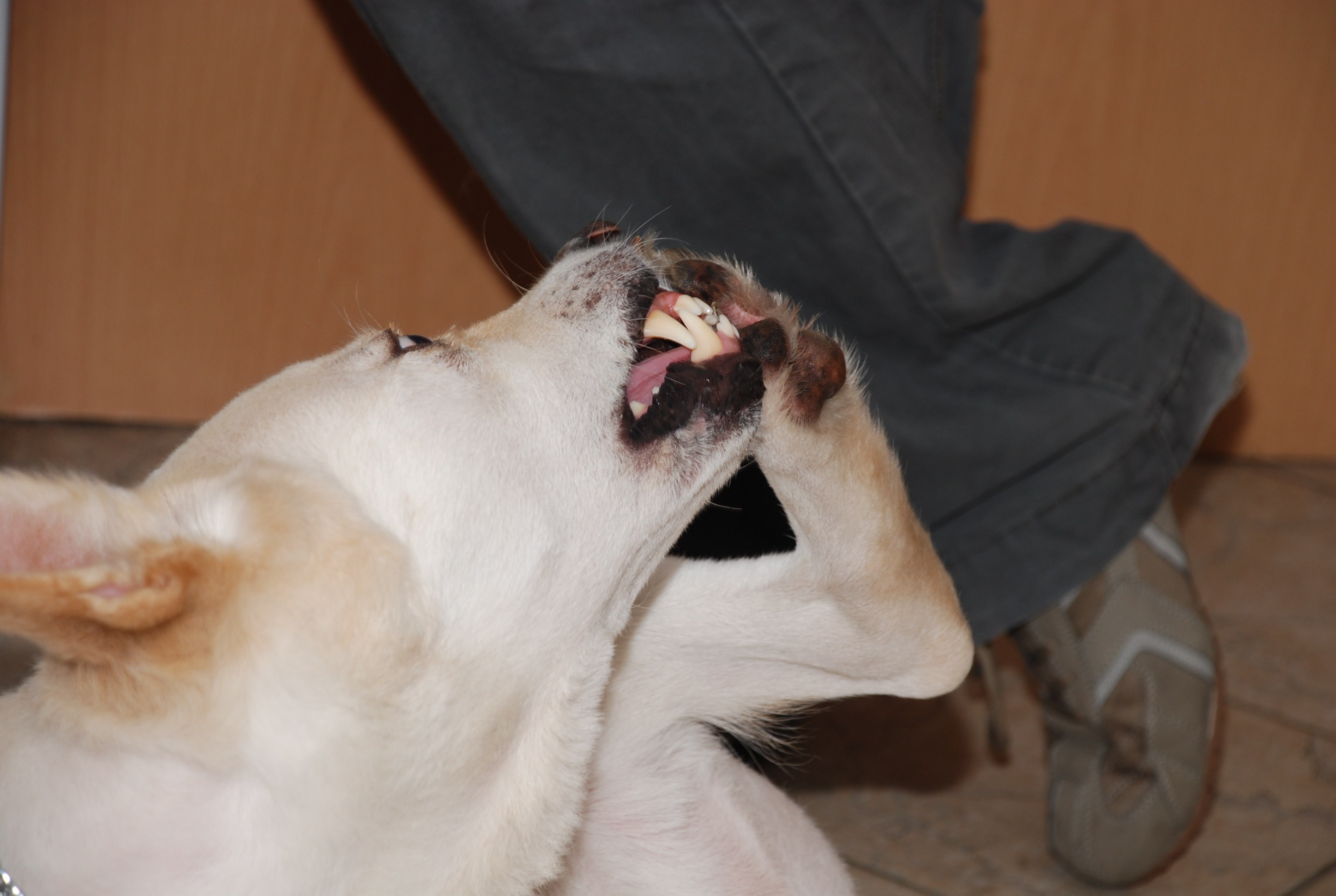 Juckreiz_2435_DSC_7571.jpg