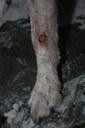 Leckekzem_2124_DSC_6318.jpg
