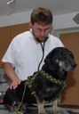 DSC_4116.JPG