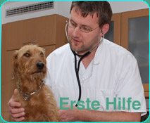 knafl_portlet_erste_hilfe.jpg