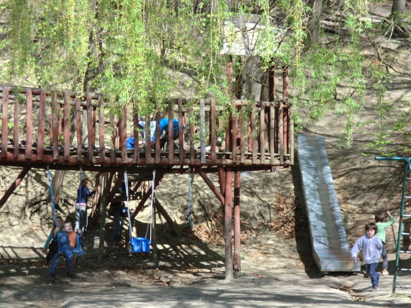 cimg0726.jpg